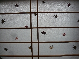 HP用画像2010 099.jpg