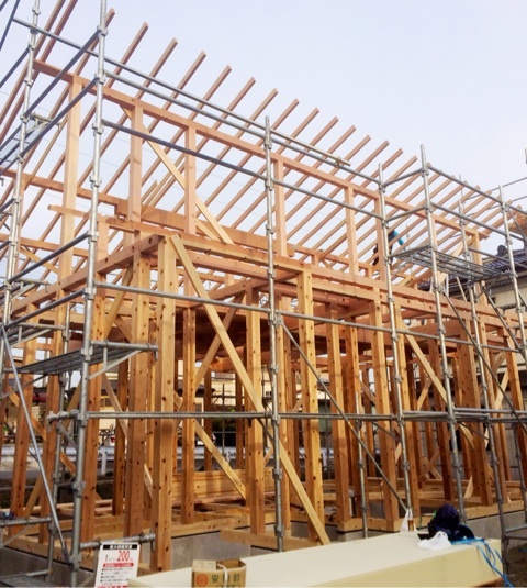 {7BDB7124-6098-43FE-B37B-4127C6145C03:01}