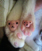 やっこさんのブログ 《ヤスゴロウ王国》-P1000288.JPG