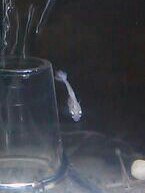 やっこさんのブログ 《ヤスゴロウ王国》-20130321_233222-1.jpg