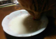 やっこさんのブログ 《ヤスゴロウ王国》-20130303_164527.jpg