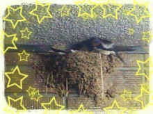 やっこさんのブログ 《ヤスゴロウ王国》-20130513_224644.jpg