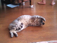 やっこさんのブログ 《ヤスゴロウ王国》-20130223_232103.jpg