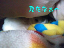 やっこさんのブログ 《ヤスゴロウ王国》-20130228_124751.jpg