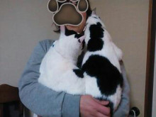 やっこさんのブログ 《ヤスゴロウ王国》-20130301_210430.jpg