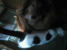 やっこさんのブログ 《ヤスゴロウ王国》-20130411_232323.jpg