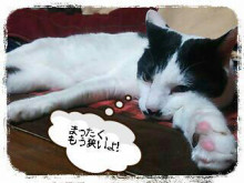 やっこさんのブログ 《ヤスゴロウ王国》-20130425_123549.jpg