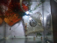 やっこさんのブログ 《ヤスゴロウ王国》-20130425_200527.jpg