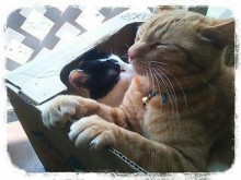 やっこさんのブログ 《ヤスゴロウ王国》-20130507_125115.jpg