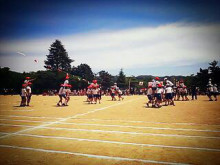 やっこさんのブログ 《ヤスゴロウ王国》-20130518_170500.jpg