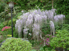 和ちゃんのブログ