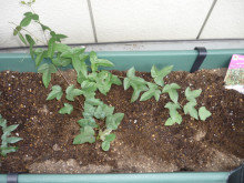 和ちゃんのブログ