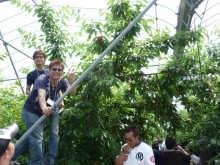 和ちゃんのブログ