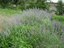 和ちゃんのブログ