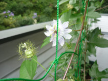 和ちゃんのブログ